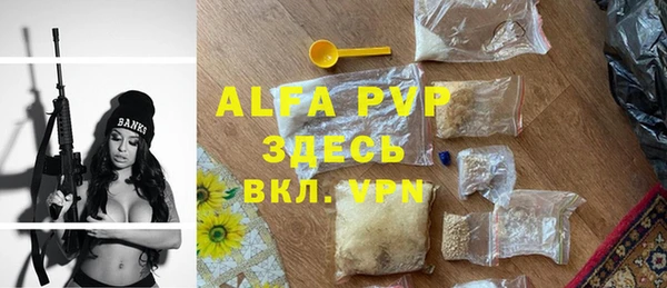 молекула духа Каменка