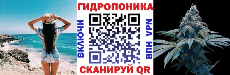 Купить  Поворино  Каннабис индика 